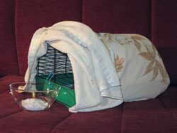 Przykładowe wyposażenie niezbędne do wykonania inhalacji