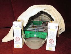 Zwierzak w transporterku