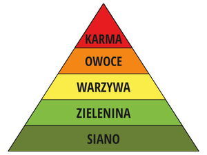 Piramida żwyieniowa dla królików i świnek morskich